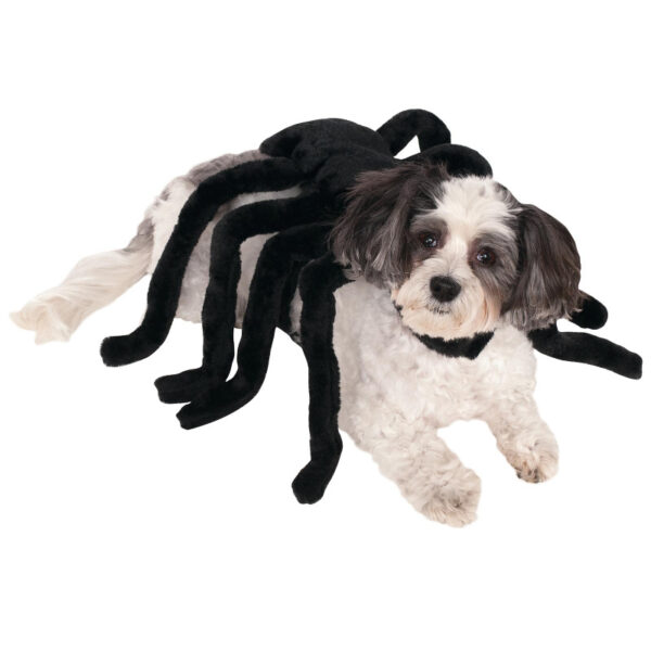 spider harness pet halloween costume sunbury costume