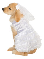 white bride pet dog costume sunbury costumes
