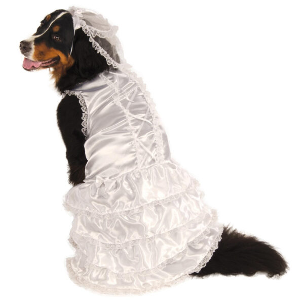 white bride dress dog pet costumes sunbury costumes