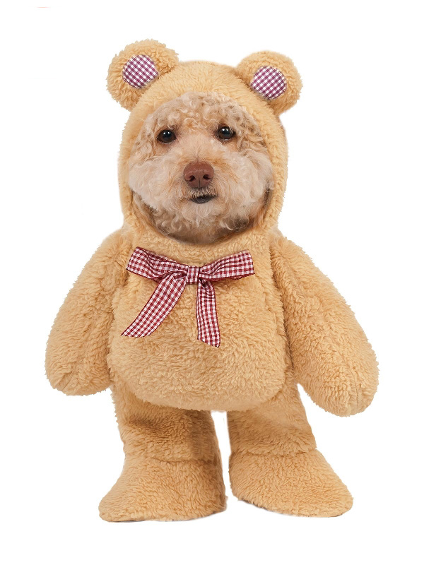novelty walking teddy bear dog pet costume sunbury costumes