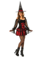 temptress witch adult halloween costume sunbury costumes