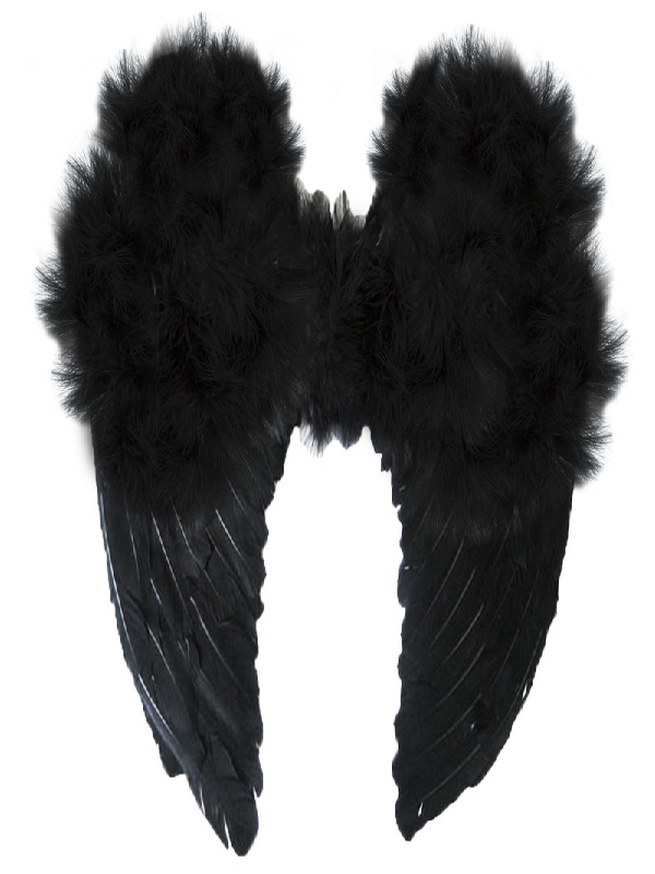 large black feathered wings sunbury costumes