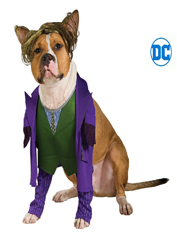 the joker pet dog costume sunbury costumes